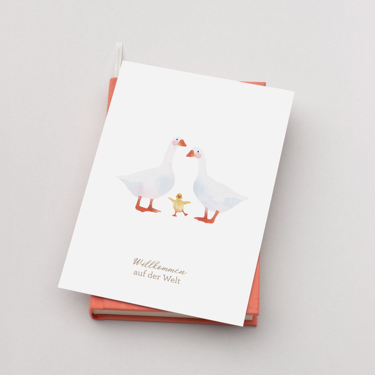 Postkarte "Willkommen auf der Welt"
