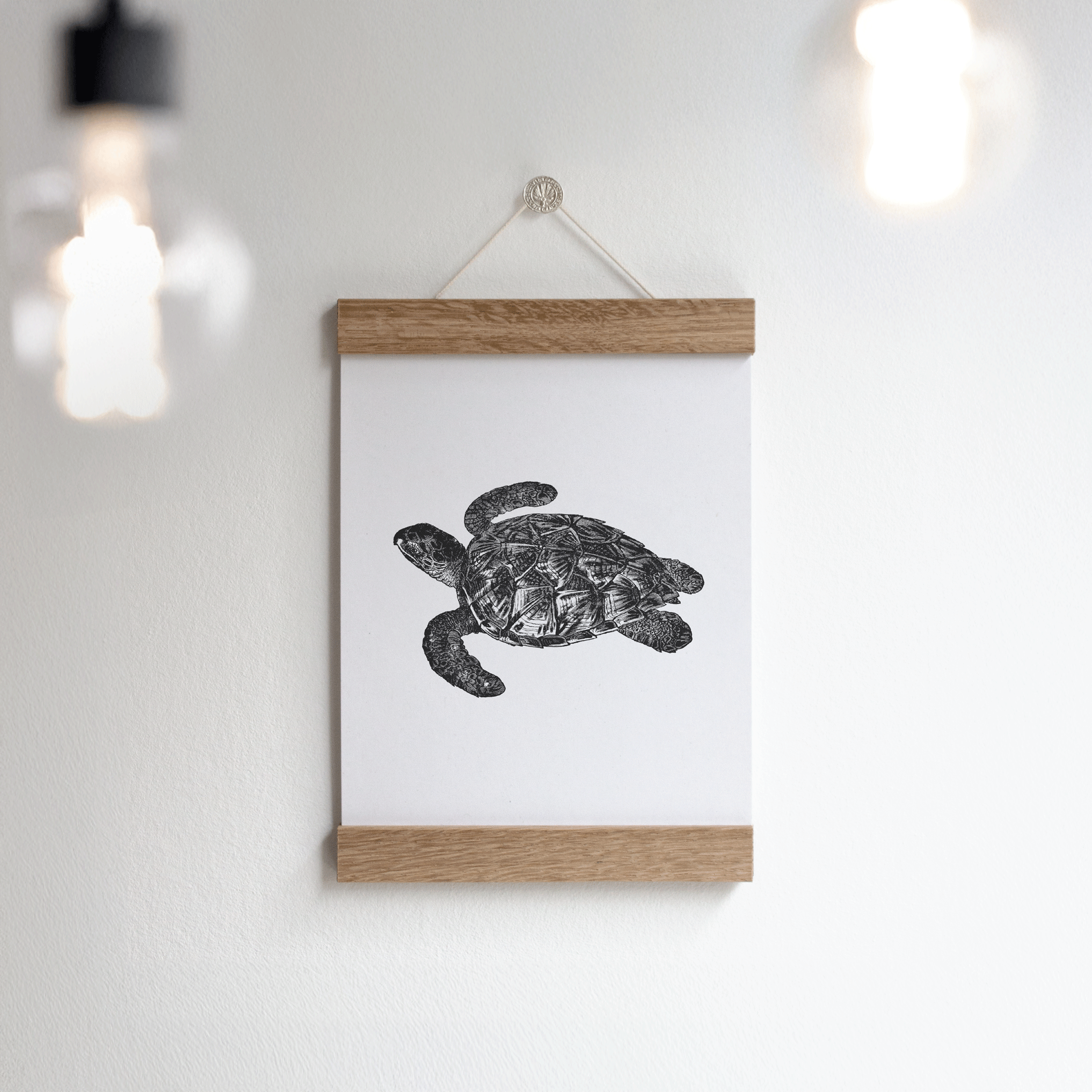 Vintage Print A5 "Turtle"