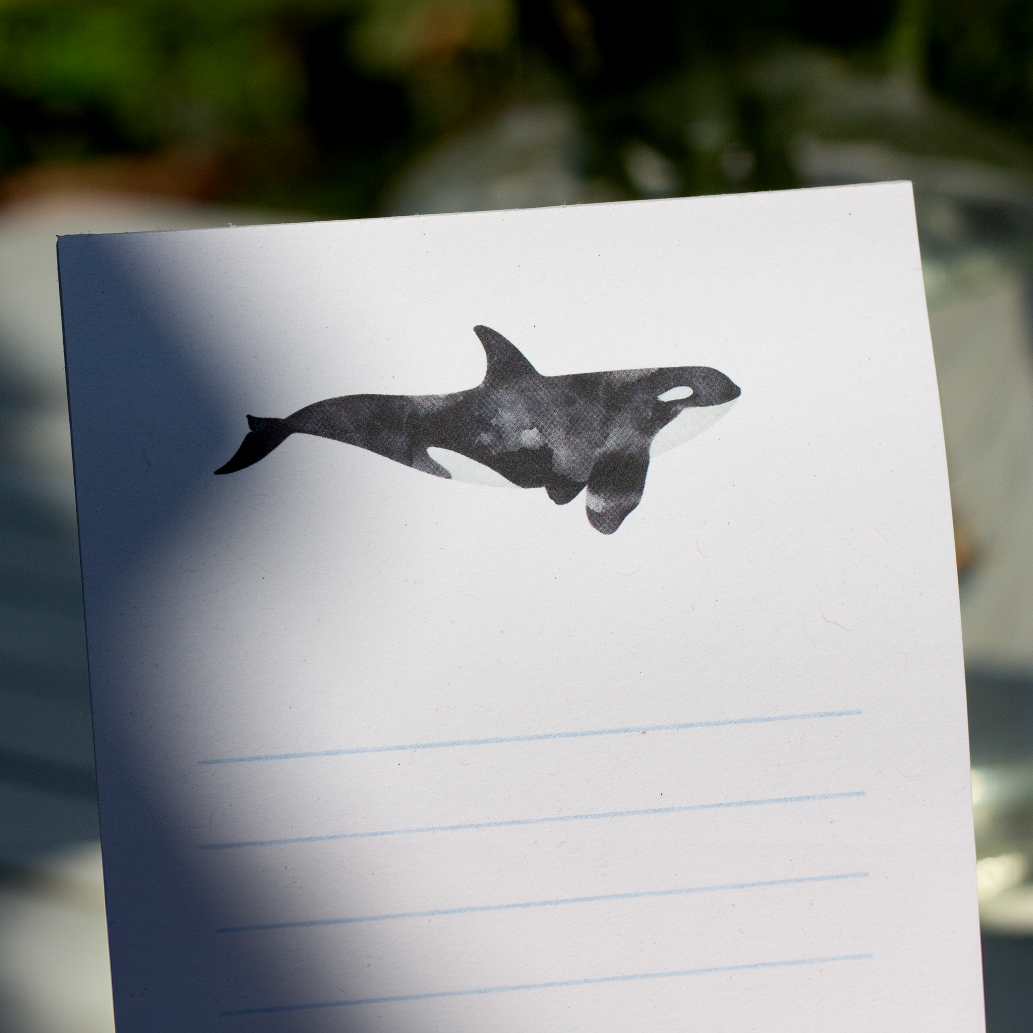 Notepad "Orca"