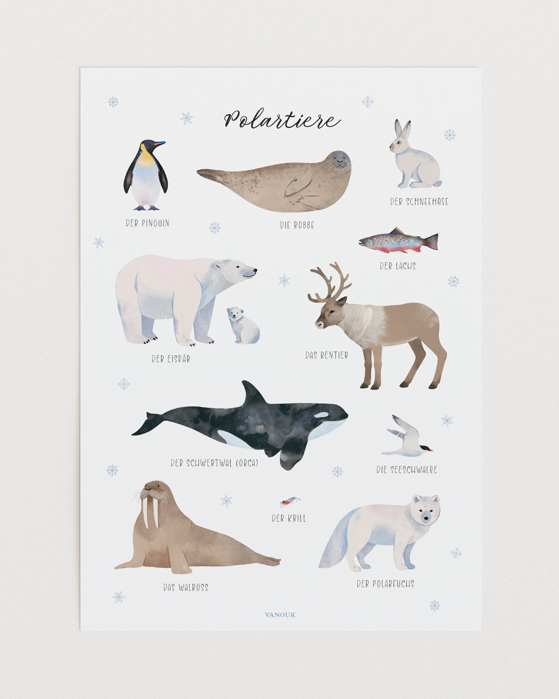 Kunstdruck - Polartiere