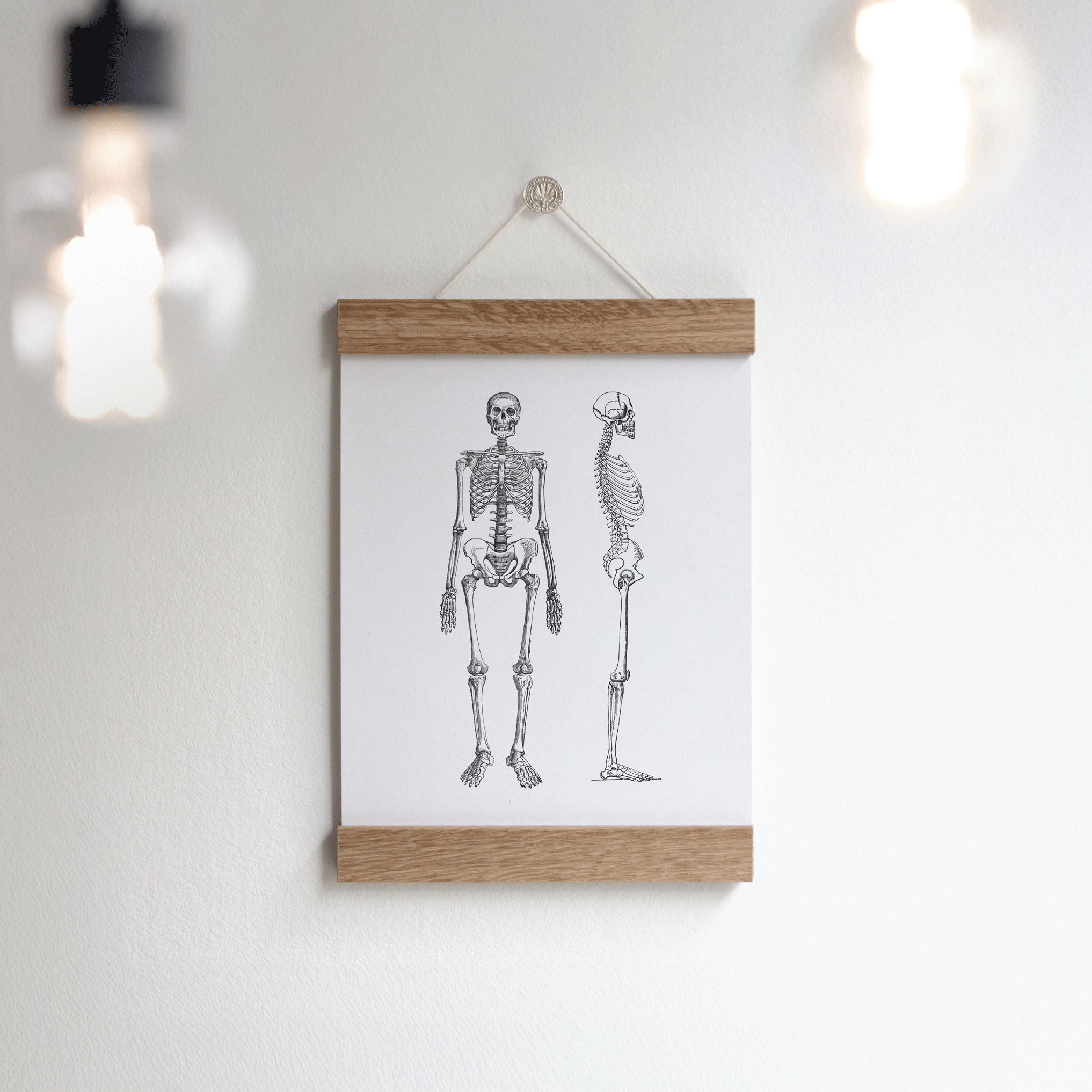 Vintage Print A5 "Skeleton"