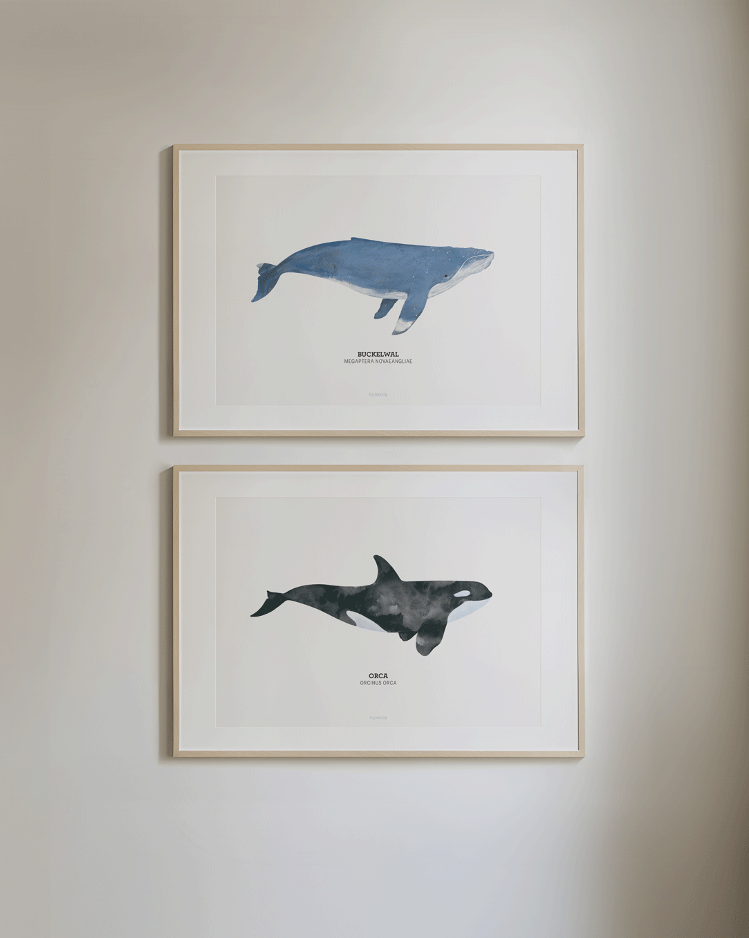 Kunstdruck "Buckelwal"