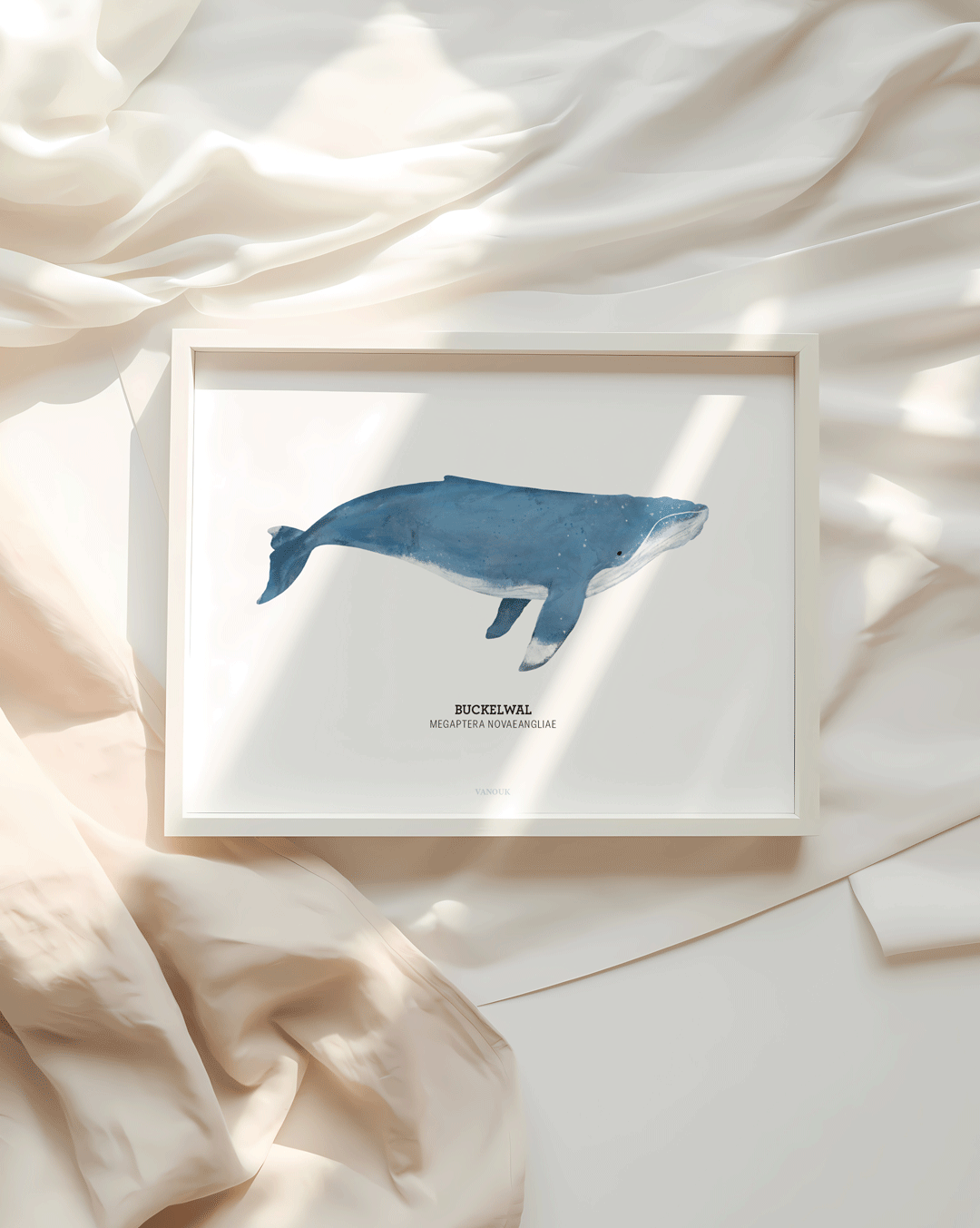 Kunstdruck "Buckelwal"