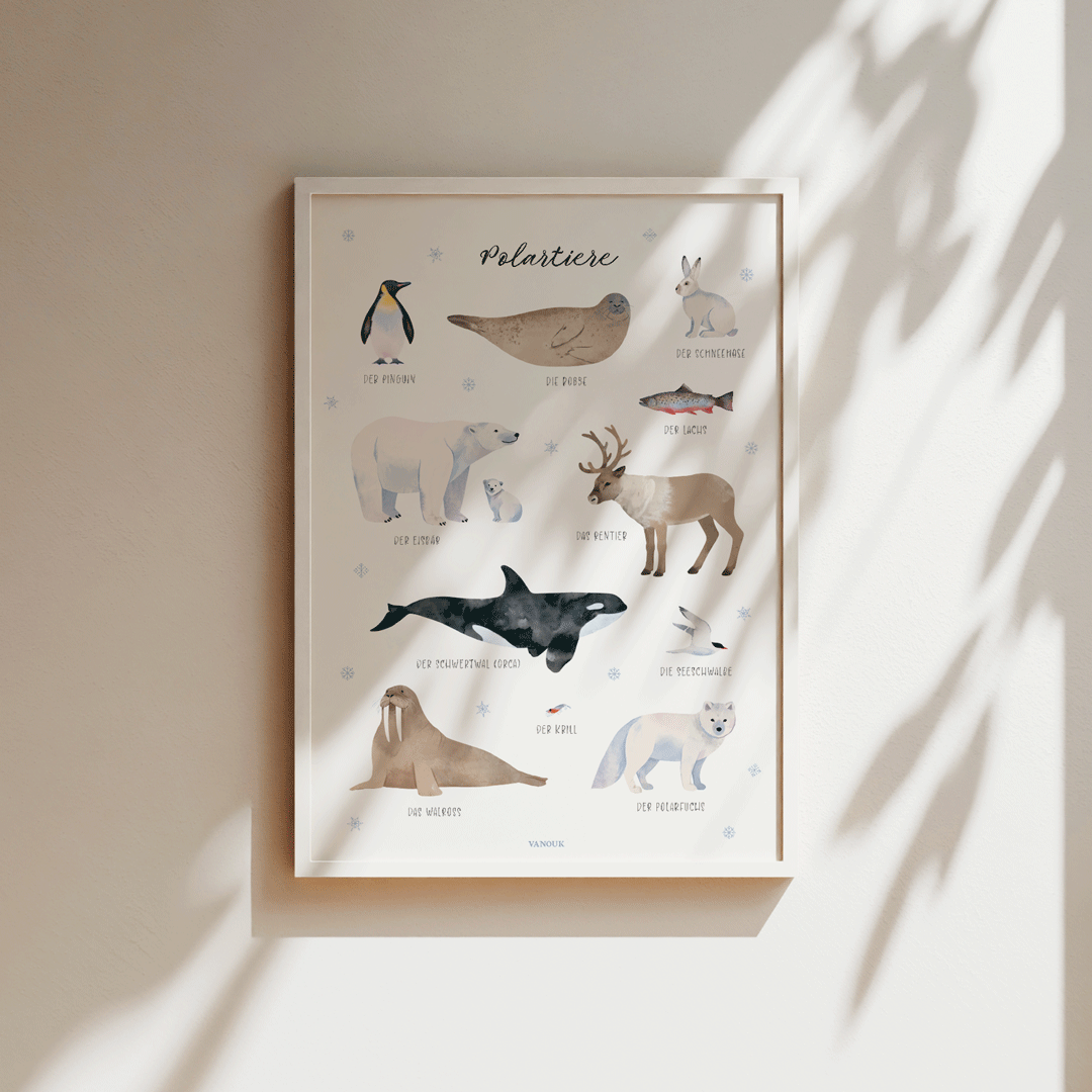 Kunstdruck - Polartiere