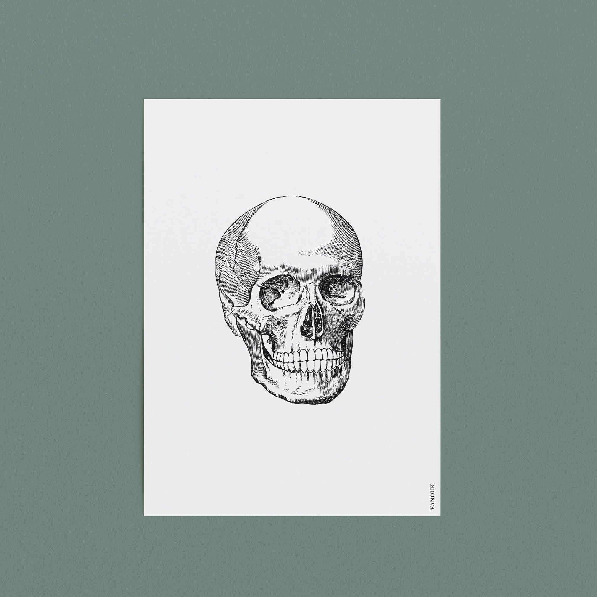 Vintage Print A5 "Skull"