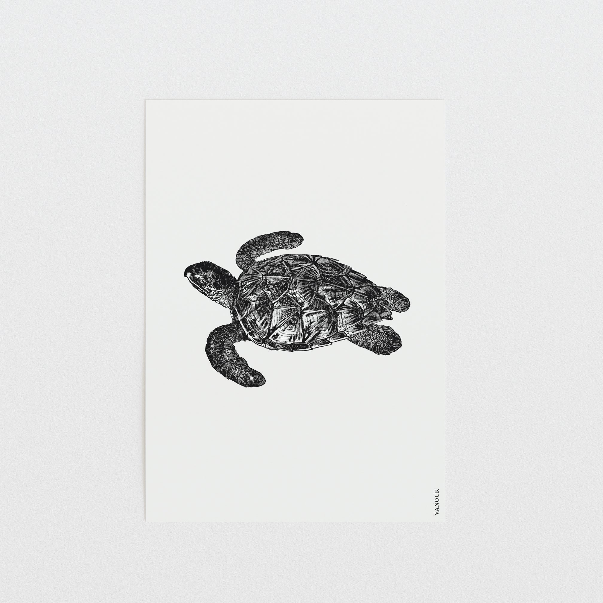 Vintage Print A5 "Turtle"