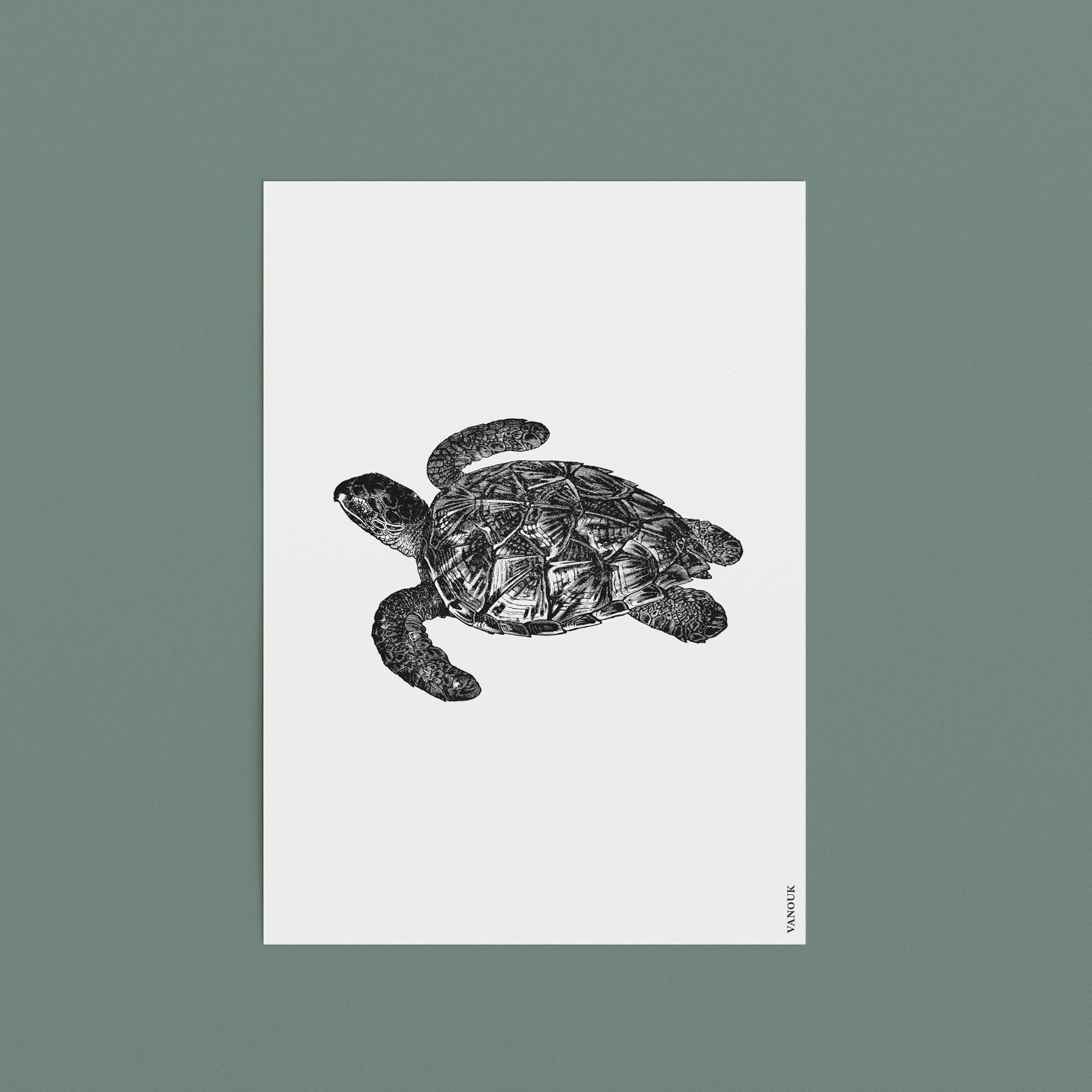 Vintage Print A5 "Turtle"