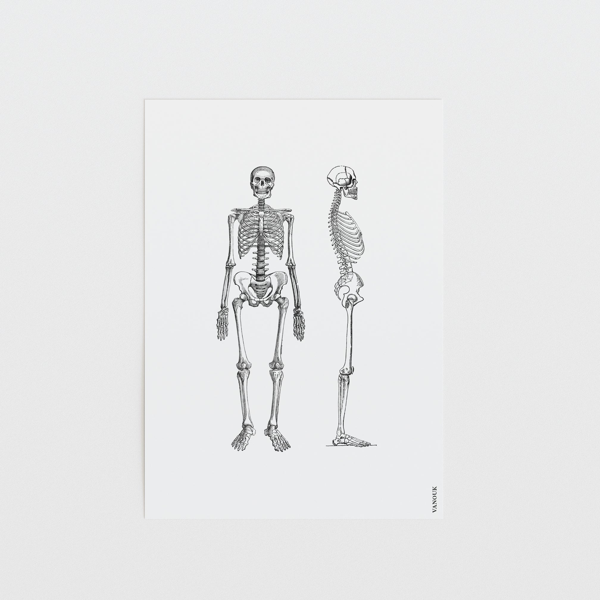 Vintage Print A5 "Skeleton"