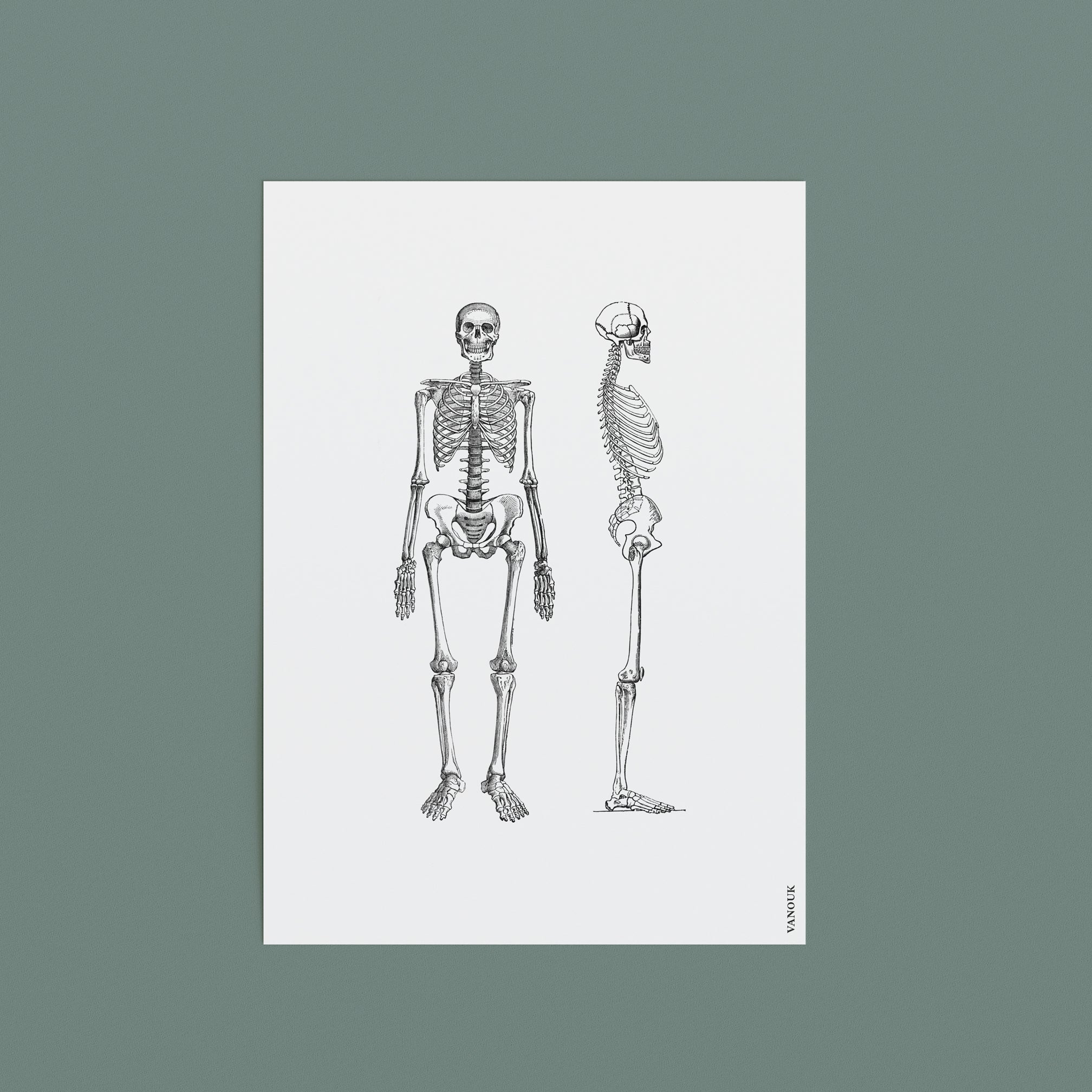 Vintage Print A5 "Skeleton"