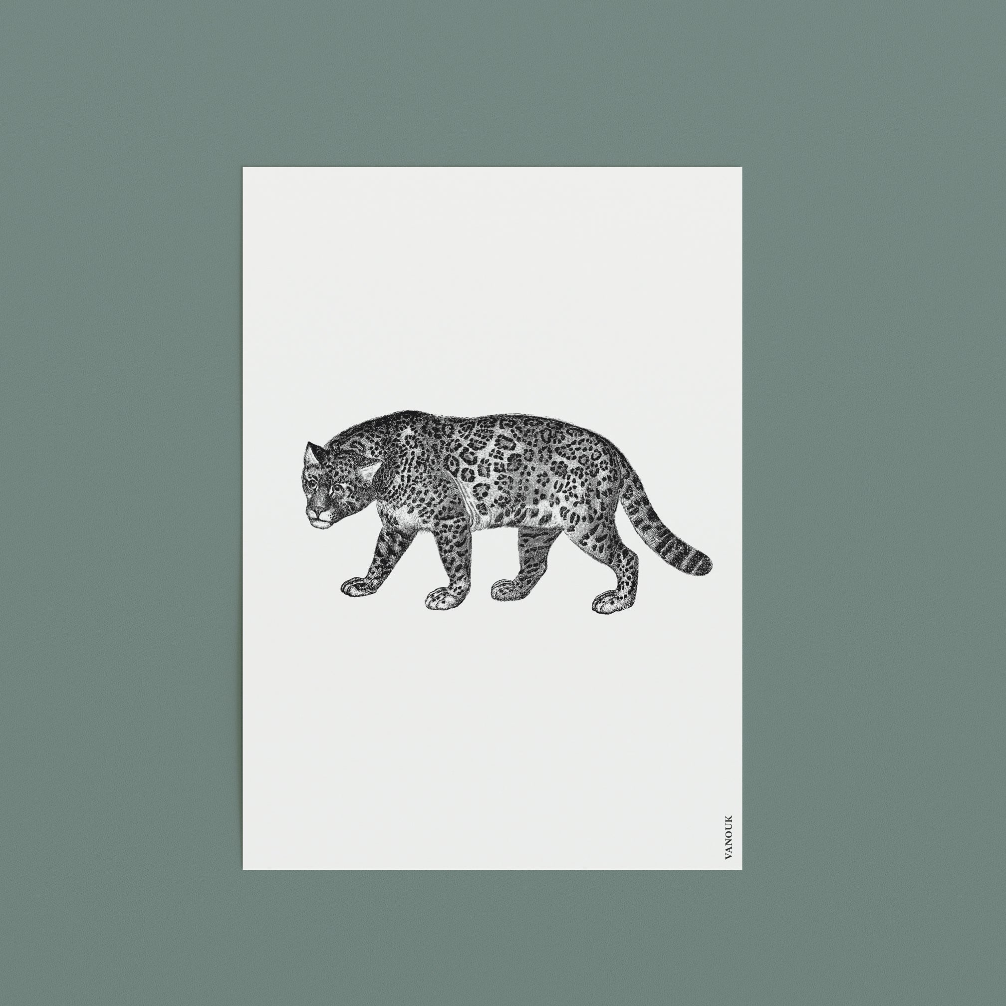 Vintage Print "Jaguar"