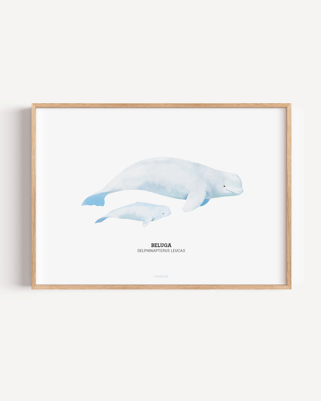 Kunstdruck "Beluga"