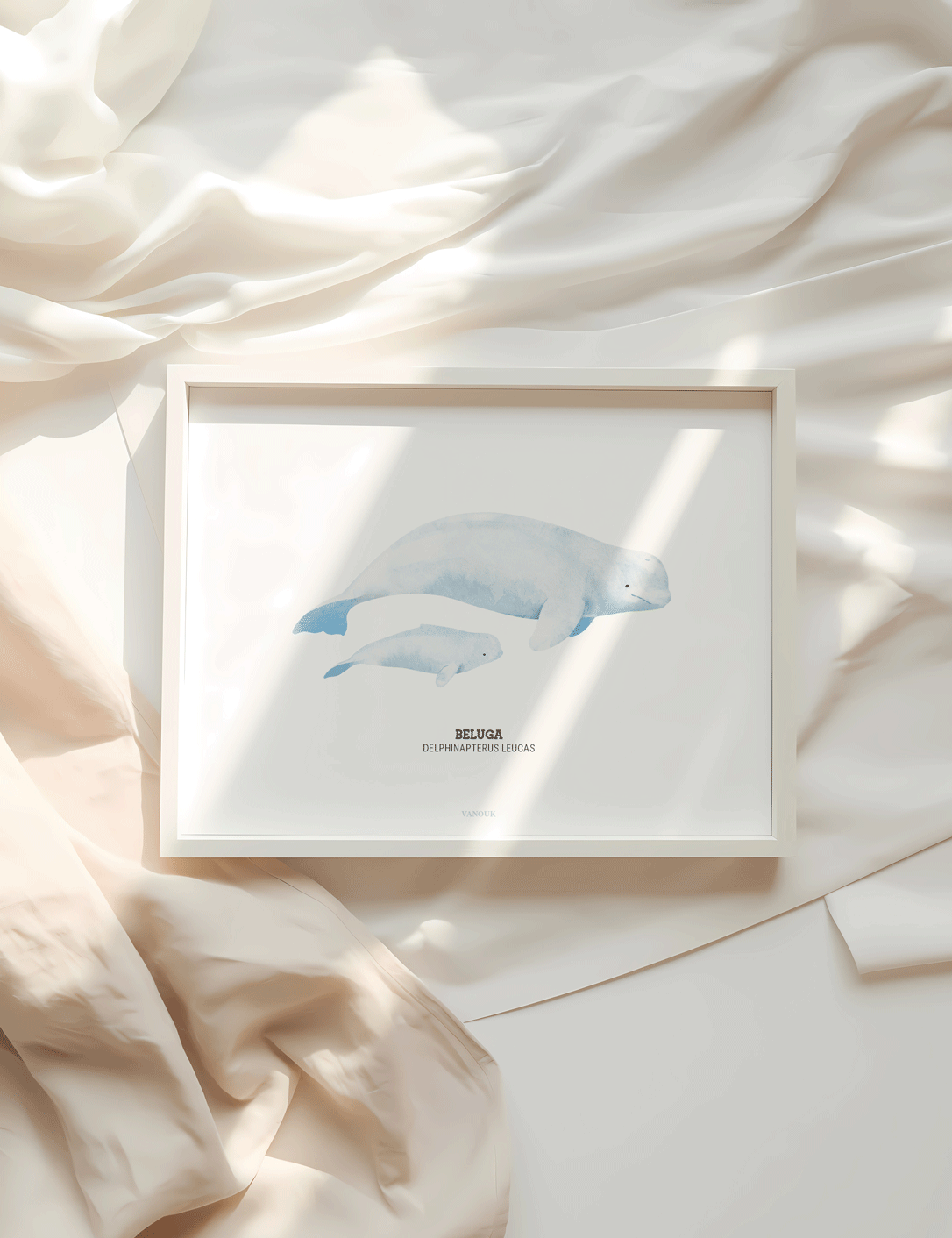 Kunstdruck "Beluga"