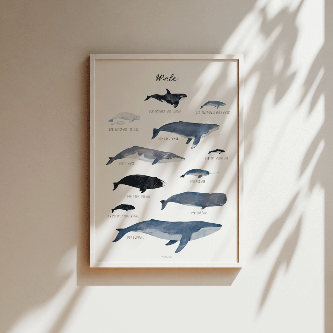 Kunstdruck - Wale